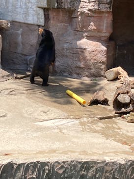 天王寺動物園に投稿された画像（2025/4/29）