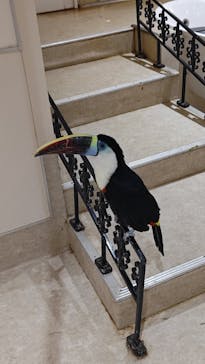 アニタッチららぽーと名古屋みなとアクルスに投稿された画像（2025/4/29）