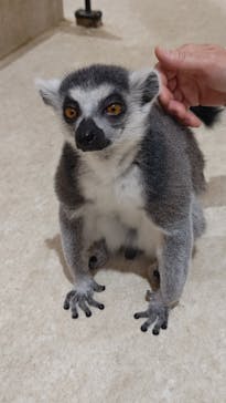 アニタッチららぽーと名古屋みなとアクルスに投稿された画像（2025/4/29）