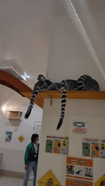 アニタッチららぽーと名古屋みなとアクルスに投稿された画像（2025/4/29）