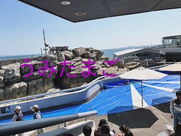 大分マリーンパレス水族館 「うみたまご」に投稿された画像（2025/4/29）