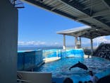 新江ノ島水族館に投稿された画像（2025/4/29）