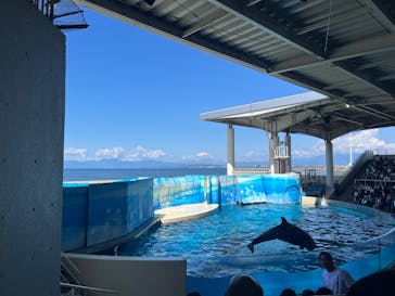 新江ノ島水族館に投稿された画像（2025/4/29）