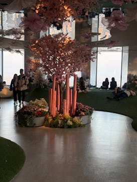 サンシャイン60展望台に投稿された画像（2025/4/29）