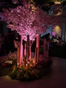 サンシャイン60展望台に投稿された画像（2025/4/29）