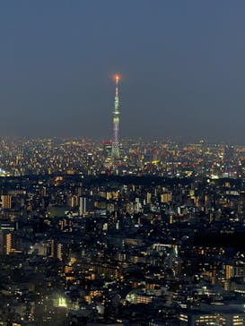 サンシャイン60展望台に投稿された画像（2025/4/29）