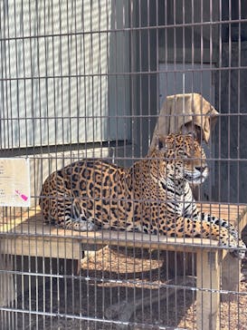 名古屋市東山動植物園に投稿された画像（2025/4/29）