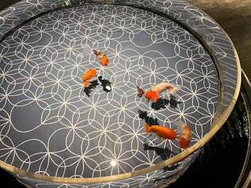 すみだ水族館に投稿された画像（2025/4/29）