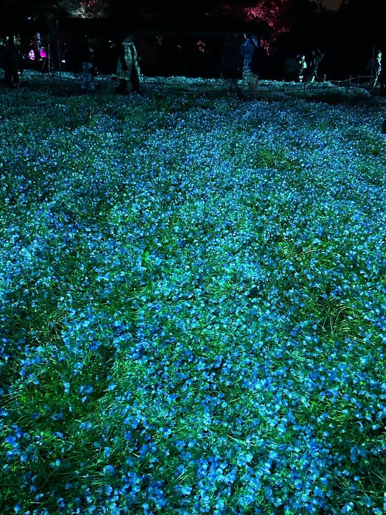 review0002844464-001--3b108178