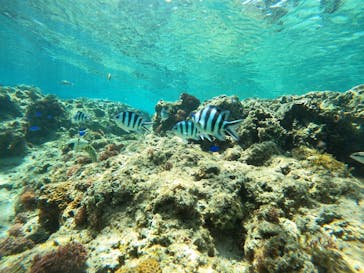 武藤潜水に投稿された画像（2025/4/29）