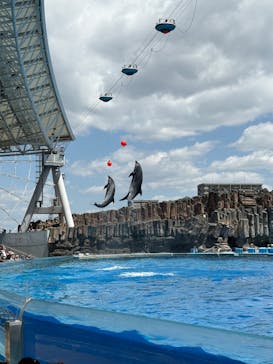 名古屋港水族館に投稿された画像（2025/4/29）