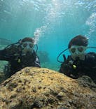 沖縄マリンサービス碧に投稿された画像（2025/4/29）