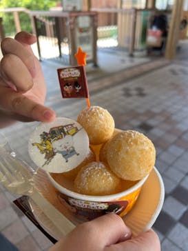 日本モンキーパークに投稿された画像（2025/4/29）