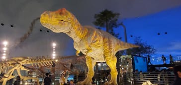 福井県立恐竜博物館に投稿された画像（2025/4/29）