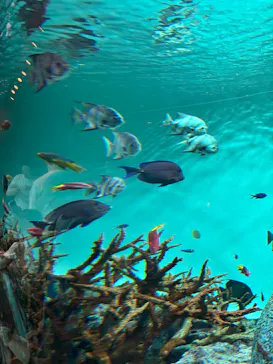 葛西臨海水族園に投稿された画像（2025/4/29）