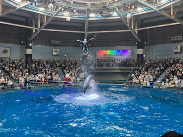 マクセル アクアパーク品川に投稿された画像（2025/4/29）