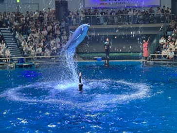 マクセル アクアパーク品川に投稿された画像（2025/4/29）