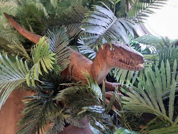 福井県立恐竜博物館に投稿された画像（2025/4/29）