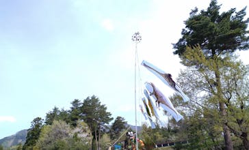 福井県立恐竜博物館に投稿された画像（2025/4/29）