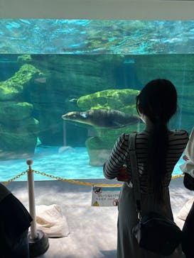 天王寺動物園に投稿された画像（2025/4/29）