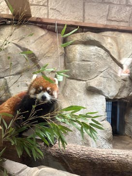 天王寺動物園に投稿された画像（2025/4/29）