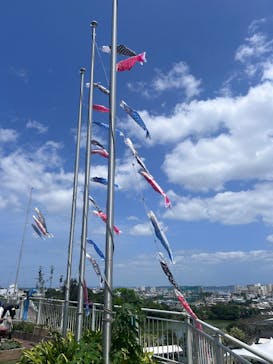 沖縄こどもの国に投稿された画像（2025/4/29）