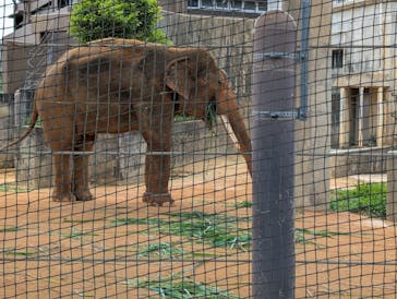 沖縄こどもの国に投稿された画像（2025/4/29）