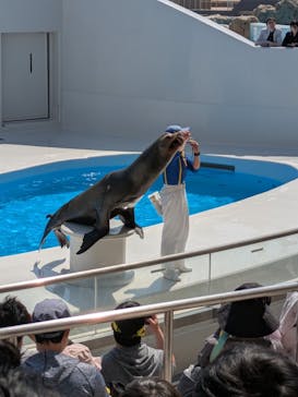 鴨川シーワールドに投稿された画像（2025/4/29）