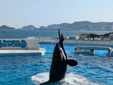 鴨川シーワールドに投稿された画像（2025/4/29）