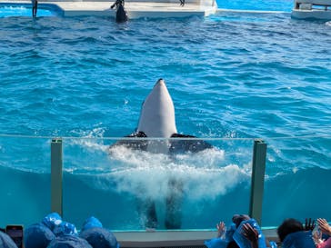 鴨川シーワールドに投稿された画像（2025/4/29）