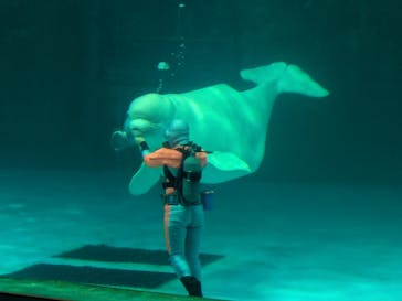 鴨川シーワールドに投稿された画像（2025/4/29）