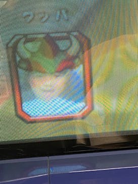 キッズランドUS 埼玉越谷店に投稿された画像（2025/4/29）