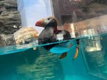 アクアワールド茨城県大洗水族館に投稿された画像（2025/4/29）
