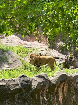 名古屋市東山動植物園に投稿された画像（2025/4/29）