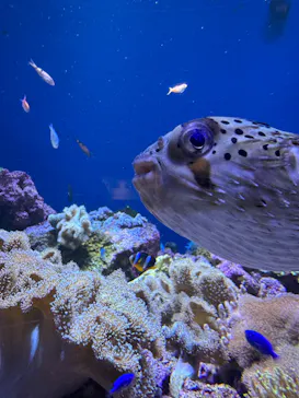仙台うみの杜水族館に投稿された画像（2025/4/29）
