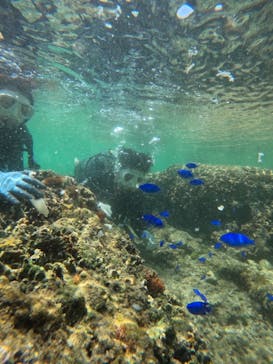 武藤潜水に投稿された画像（2025/4/29）