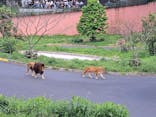 東京動物園協会_多摩動物公園に投稿された画像（2025/4/29）