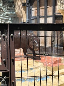 恩賜上野動物園に投稿された画像（2025/4/29）