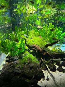 カワスイ 川崎⽔族館に投稿された画像（2025/4/29）