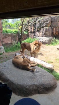 天王寺動物園に投稿された画像（2025/4/29）