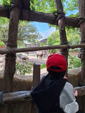 天王寺動物園に投稿された画像（2025/4/29）