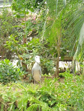 神戸どうぶつ王国×有馬街道温泉すずらんの湯に投稿された画像（2025/4/29）