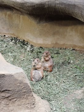 神戸どうぶつ王国×有馬街道温泉すずらんの湯に投稿された画像（2025/4/29）