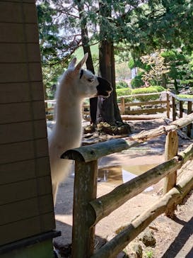 伊豆シャボテン動物公園に投稿された画像（2025/4/29）