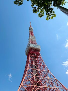 東京タワーに投稿された画像（2025/4/29）