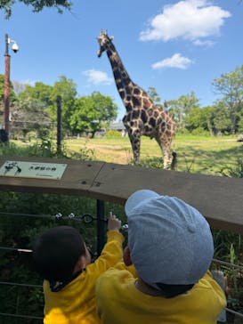 天王寺動物園に投稿された画像（2025/4/29）