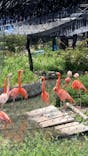 名古屋市東山動植物園に投稿された画像（2025/4/29）