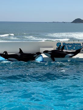 鴨川シーワールドに投稿された画像（2025/4/29）