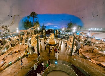 福井県立恐竜博物館に投稿された画像（2025/4/29）