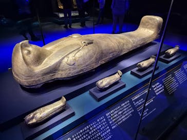 ACN ラムセス大王展 ファラオたちの黄金に投稿された画像（2025/4/29）